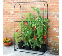 Haxnicks Tomato Crop Booster Support Frame