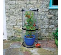 Haxnicks Twist-Up Cloche D50Cm X H1.1M For Tomatoes And Tall Plants Pop-Up Plant Protector With Ground Pegs