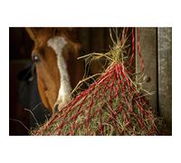 Hay Net Hippotonic Zari