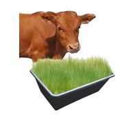 Hay Water Cattle Sheep Feeder 1 2 3 4 Pack, All-in-one Livestock Pig Trough for 2 Horses Calves, Easy to Clean Feeder Pan Bowl Outside(Black,3pcs)