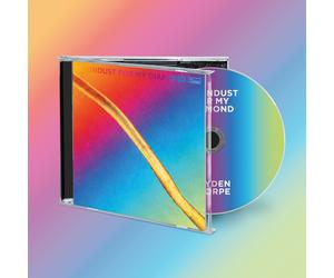 Hayden Norman Thorpe Moondust For My Diamond CD WIGCD482 NEW