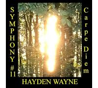 HAYDEN WAYNE - SYMPHONY 11 CARPE DIEM - CD - K3z
