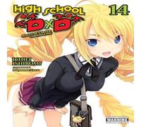 Haydn Trowell High School DxD, Vol. 14 (light novel) Paperback Book Haydn Trowell Multicolor