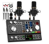 Hayner-Seek MHS117 2-Channel Modern-Professional Podcast Equipment Bundle with Audio Mixer, Condenser Microphones, 48V Phantom Power, USB, AUX Connectivity for Live Stream/Record/Game