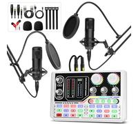 Hayner-Seek Podcast Equipment Bundle for 2, Voice Change, Audio Interface for Live Streaming with Studio Microphone for Recording, Gaming,Live-broadcast, YouTube-White