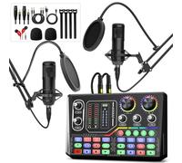 Hayner-Seek Podcast Equipment Pack for 2 People, Audio Interface Mixer with 3.5mm Condenser Microphone, Multiple Sound Effects, Voice Change - Perfect for Recording, Singing