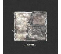 Haynes Jim - The Wires Cracked [VINYL]