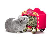 HAYPIGS Circus themed WHEEK WAGON Guinea Pig Hay Feeder | Guinea Pig Accessories | Dwarf Rabbit Feeder | Hay Racks for Guinea Pigs