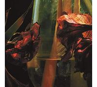 Hayvanlar Alemi Psychedelia in Times of Turbulence (Vinyl)