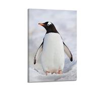 HAYZE Bird Animals Poster Penguins Gentoo Penguin Walking Decorative Canvas Wall & Art Poster Painting 12x18inch(30x45cm)