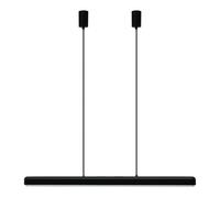 Hazel Branch Pendant 100 Black/Steel