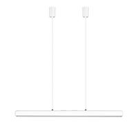 Hazel Branch Pendant 100 White/Steel