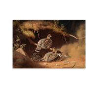 Hazel Grouse Wallowing In Sand 1877 Realism Poster by Ferdinand Von Wright - Nature Wall Art Art Canvas Painting Decor Wall Print Photo Home Modern Decoratives Unframe 16x24inch(40x60cm)