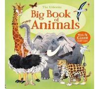 Hazel Maskell Big Book of Animals Hardback Hazel Maskell Multicolor