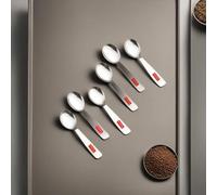 HAZEL Stainless Steel Spoon for Spice Box | Small Mini Spoon for All Tea Coffee Sugar & Spices Set, Set of 6, 8.4 Centimeter