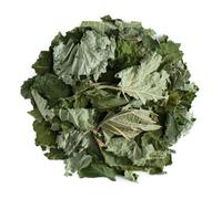 Hazelnut Leaf Tea - Corylus Avellana - 200g | Whole dried hazel leaves gathered for a mild woodland flavoured infusion steeped the traditional way by herbal tea drinkers