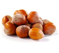 Hazelnuts Raw Whole nut 100% Natural *Free UK Postage* (500g)