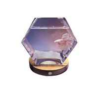 HBALDTEDC Aquarium,Fish Tank, Fighting Fish Aquarium with Base Pentagonal Transparent Glass Small Living Room Desktop Aquascape Decorative Ornaments Fish Bowl