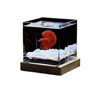 HBALDTEDC Aquarium,Fish Tank, Square High Translucent Glass Aquarium Special Fighting with Lid Tropical Hydroponic Vase Flower Vase Desktop Small Fish Tanks