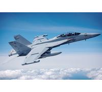 HBB85814 - Hobbyboss 1:48 - EA-18G Growler