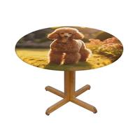 HBDVHZ Poodles Dogs Print Oxford Fabric Round Tablecloth For Kitchen Restaurant,Tabletop Decoration,100 Cm