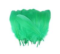 HBSVKLYNX Coloured Natural Craft Feathers, Multicolor Craft Goose Feathers 10-15cm Pack of 100 Pcs