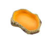 Hburirrty 1 Piece Reptile Feeding Bowls Terrarium Plate Reptile Feeder Amphibian Feeding Bowl As Shown for Frog Tortoise Bearded Dragon Turtle,S