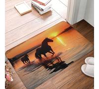 HCBPWVQA Front Door Mat Indoor Outdoor, Sunsets Lake Horses Doormat Non-Slip Washable Entrance Rug, Dirt Resistant and Absorbent Flannel Bath Mats, Low Profile Floor Mat 16 x 24 Inch