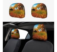 HCBPWVQA Gallery for Fall Car Headrest Cover 2 PCS, Funny Auto Front Seat Head Rest Protector, Universal Car Headrest Protector Elastic, Personalized Seat Cover Headrest Trim for Most Cars