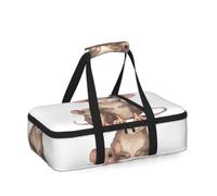 HCBPWVQA Insulated Casserole Carrier Portable Pie Carrier Bag for Hot or Cold Food, Leakproof Thermal Lunch Bag Warmer Cooler Bag with Handle, Rats Lunch Tote for Travel Picnic
