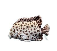 HCGX Realistic Red Golden Drum Fish Plush Toy, Super Soft Stuffed Marine Animal Doll