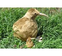 HCGX Simulation Super Cute Kiwi Bird Plush Toy KIWI Zealand Animal Doll Soft And Gift For(50cm)