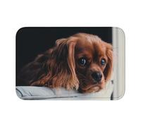 HCMuxisen Ruby Cavalier King Charles Spaniel Puppy Dog, Doormat Bath Mat Non-Slip Floor Mat Soft Hem Mat Absorbent Bathroom Pad 40x60 cm