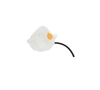 HCPAVEXT For Dodge For Stratus 1995-2000 Engine Coolant Reservoir Water Expansion Tank 4595575 Auto Parts