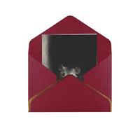 HCVXBSA A mouse in the darkness Blank Cards with Envelopes All Occasion Greeting, Premium Shimmery Note for Birthday, Christmas, Wedding, 4 x 6 inch