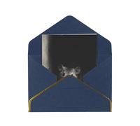 HCVXBSA A mouse in the darkness Blank Cards with Envelopes All Occasion Greeting, Premium Shimmery Note for Birthday, Christmas, Wedding, 4 x 6 inch