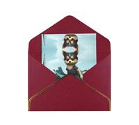 HCVXBSA A Pomeranian wearing a gorgeous dress Blank Cards with Envelopes All Occasion Greeting, Premium Shimmery Note for Birthday, Christmas, Wedding, 4 x 6 inch