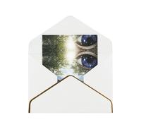 HCVXBSA Mysterious blue pupils Blank Cards with Envelopes All Occasion Greeting, Premium Shimmery Note for Birthday, Christmas, Wedding, 4 x 6 inch