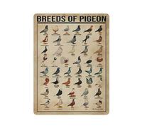 Hdadwy Metal Tin Sign Breeds of Pigeon Vintage Art Poster Retro Iron Painting Wall Decor Art Gift Outdoor Cafe Bar Garage Farm Decoration 16"x12"
