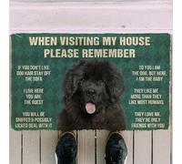 HDBMHDBM Door mat Indoor Please Remember Newfoundland House Rules, Newfoundland Dog Lovers Home Decorative Welcome Doormat Home Decor, huidongbomu-0260