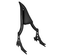 HDBUBALUS Motorcycle Detachable Rear Passenger Backrest Sissy Bar Rear Backrest Cushion Passenger Backrest Pad Fit For Harley Sportster XL 883 1200 2004-2022 Black