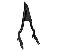 HDBUBALUS Motorcycle Sissy Bar Detachable Rear Passenger Backrest Fit for Harley Touring Road King Road Glide Street Glide 2009-2024 Gloss Black(22 inch, Black)