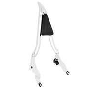 HDBUBALUS Motorcycle Sissy Bar Detachable Split Rear Passenger Backrest Fit for Harley Touring Road King Road Glide Street Glide 2009-2024 (22 inch, Chrome)