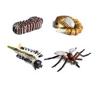 HDFHDF Insect Model Insect Life Cycle Growth Model Butterfly, Frog, Worker Ant, Mosquito Early Education Toys Cycle Stage Teaching Aids (Mosquito 4-piece set)