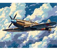 Hdfvlfdsa Crafts Stamped Cross Stitch Kits Preprinted Pattern Counted Embroidery Sky Plane（16×20Inch Starter Kits for Beginner Kids and Adults Stamped 11Ct Adult Craft Kits