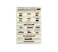 HDKYSWBUEJ Bristol Stool Chart Type 1 Through 7 Digestive Health Bowel Movement Reference Metal Wall Sign for Hospital Bathroom Clinic Restroom 8 X 12 inch