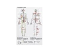 HDKYSWBUEJ Traditional Chinese Medicine Meridian Chart Twelve Primary Channels Acupuncture Points Five Elements Theory Metal Wall Sign for Clinic Decor 8 X 12 inch