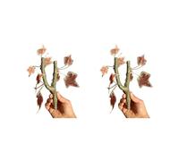 HDOYTXXM 2Pcs Realistic Climbing Accessories for Small Reptiles Hermit Crabs Crested Geckoes Natural Exercise Decoration Fishtank Landscape Accessories