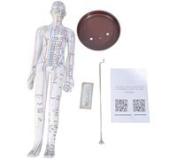 HDOYTXXM Acupoint Model with Chinese Points Male Female with Numbered Point Medicine Teaching Tool