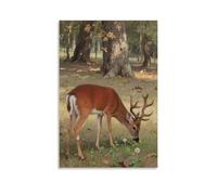 HDSCLMYY Deer Eating Grass in Forest, Ears Alert Trendy Hanging Wall Art Decorative Mural Poster24x36inch(60x90cm)